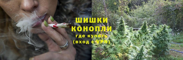 дурь Белокуриха