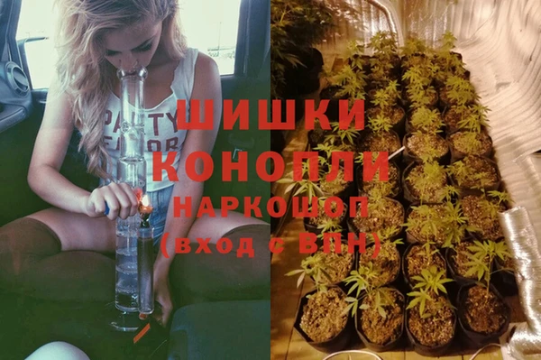 дурь Белокуриха